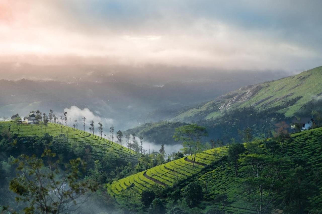 Vaga Mist Resort Vagamon Idukki Bagian luar foto