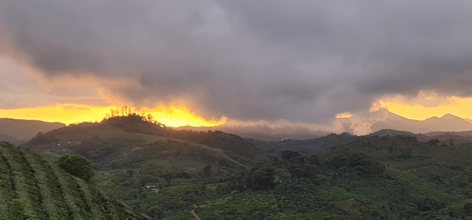 Vaga Mist Resort Vagamon Idukki Bagian luar foto